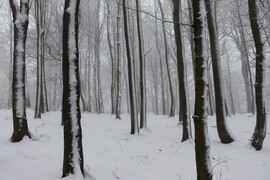 Kékestető