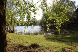 zivataranyu fotója