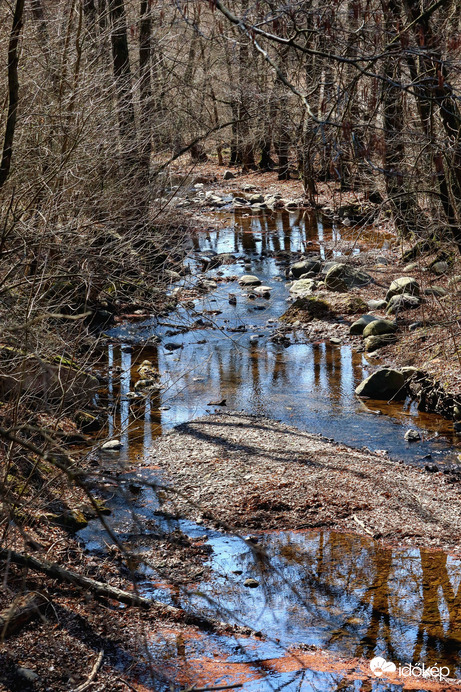 Gyöngyössolymoson kirándultunk