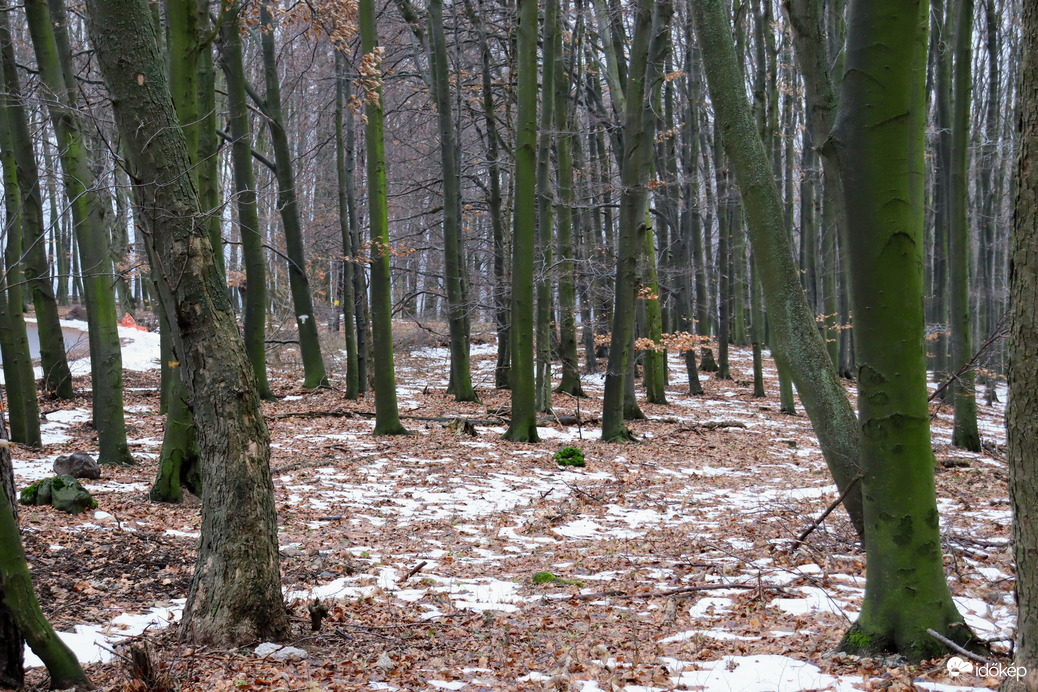 Mátraháza 
