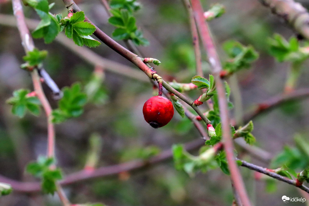 Múlt, jelen, jövő