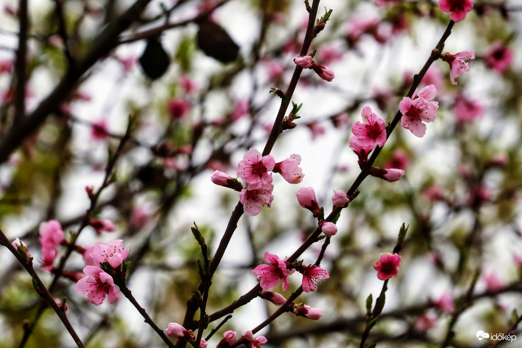 Borús időben is szépen