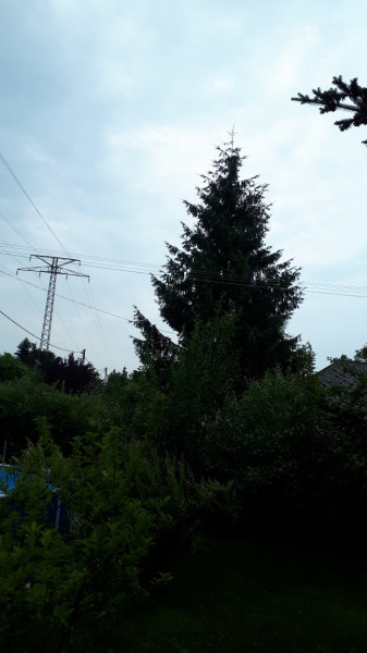 Bocskaikert