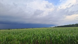 07.17 Lőkösházi kisebb kaliberű zivatar