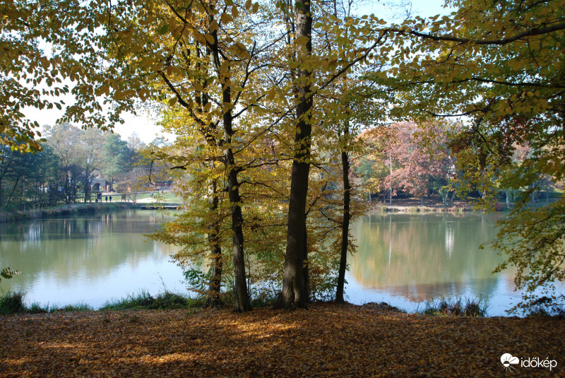 Vadása tó 2021 október