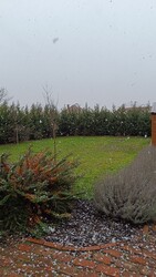 Tiszaalpár
