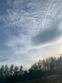 Akasztó
