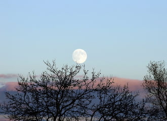 Napnyugtában...telihold