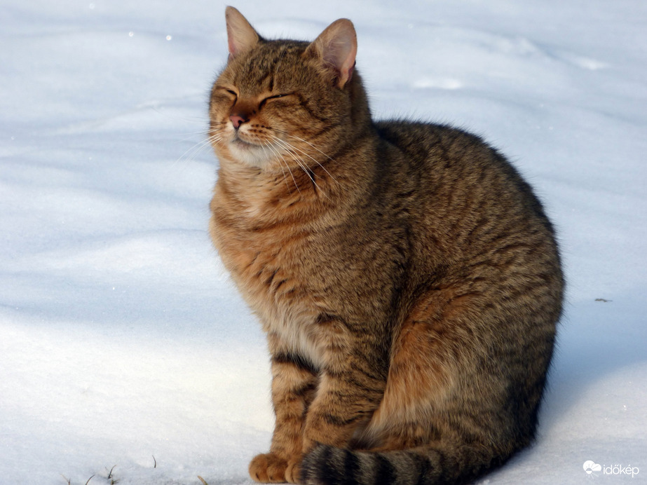 Reggeli napsütésben!