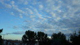 Nyíregyháza