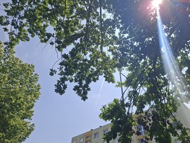 Győr