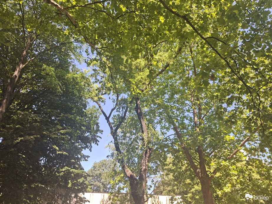 Győr