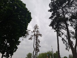 Győr