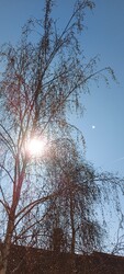Sopron