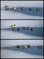 Az egy-két fokos víz mégis melegebb. 