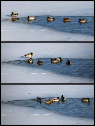 Az egy-két fokos víz mégis melegebb. 