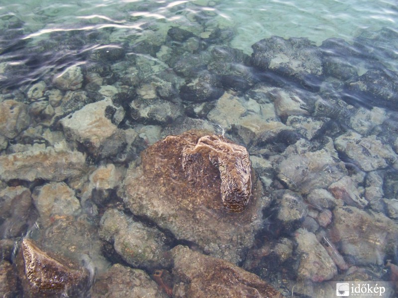 A Balaton vízminősége Siófoknál (akár iható is)