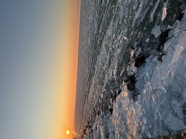 Balaton