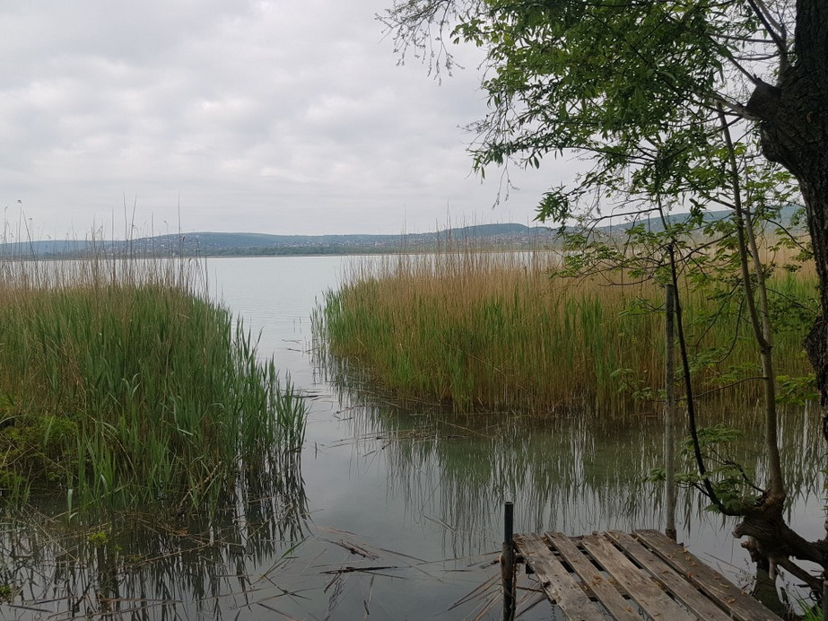 Balatonfűzfő