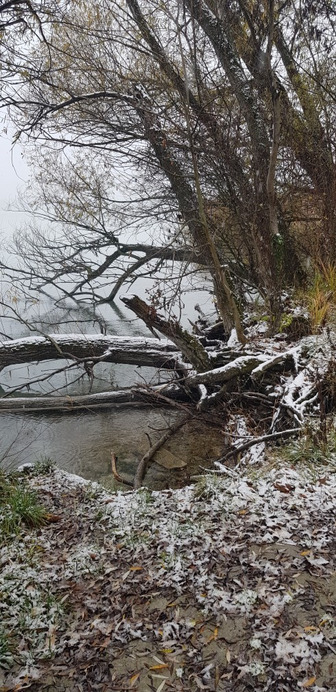 Balatonfűzfő