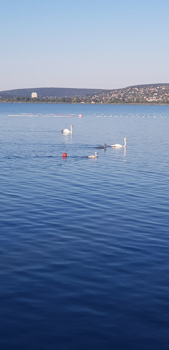 Balatonfűzfő