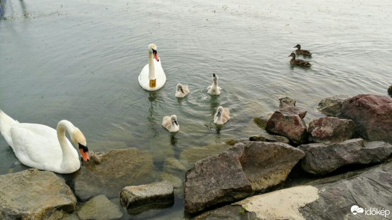 Balatonfűzfő