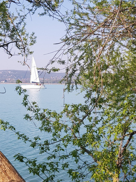 Balatonfűzfő