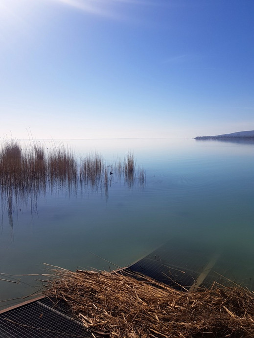 Balatonfűzfő