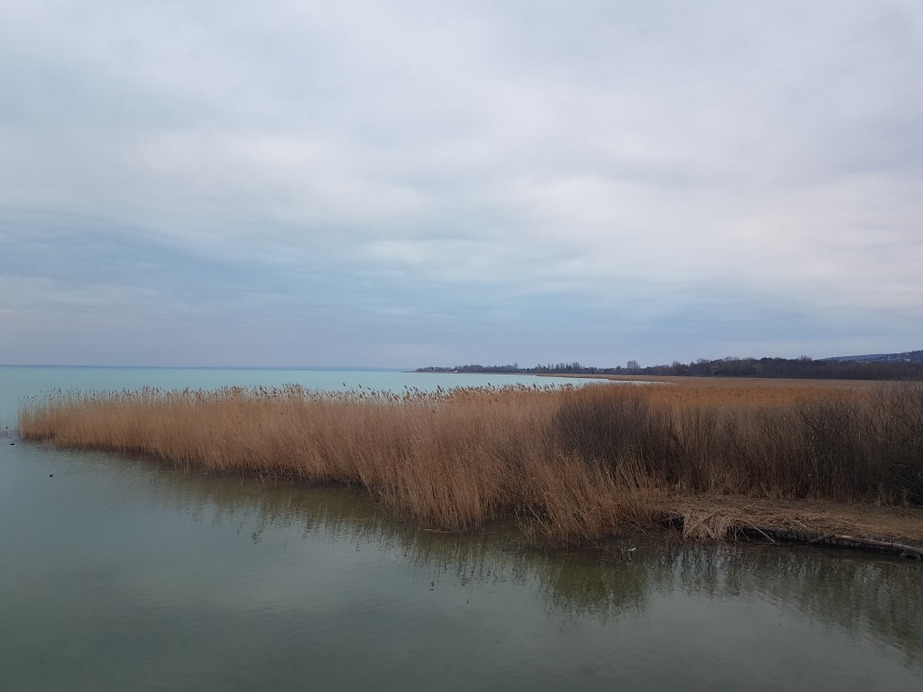 Balatonfűzfő