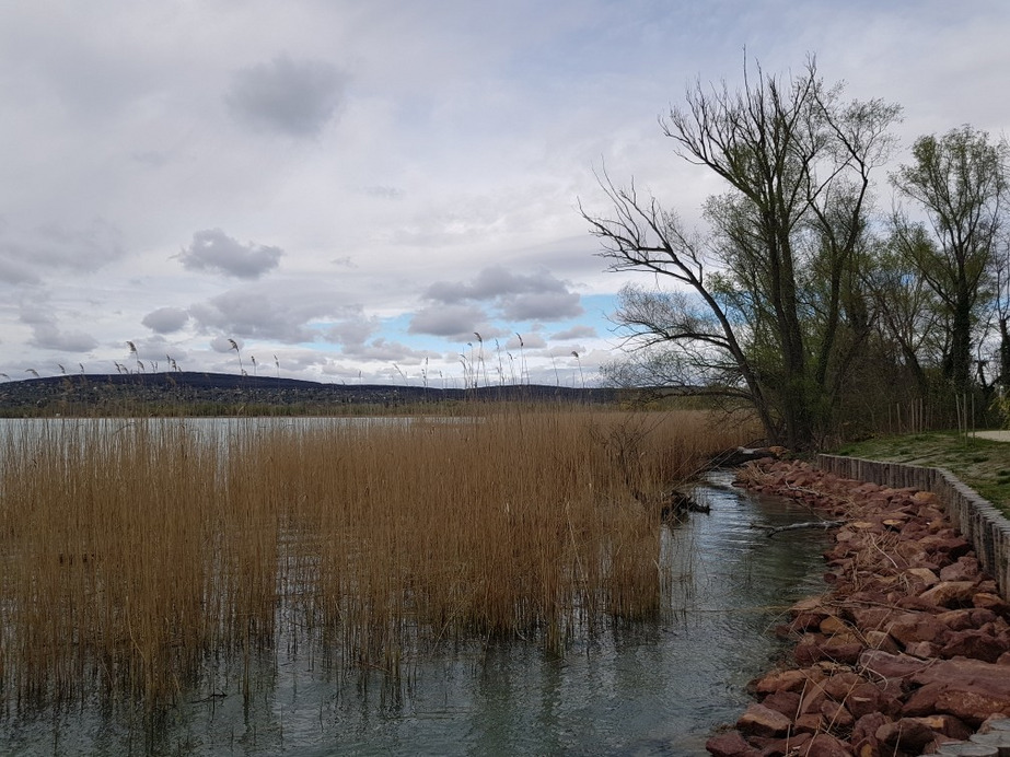 Balatonfűzfő