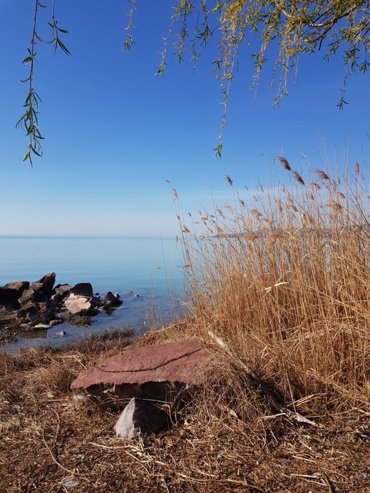 Balatonfűzfő