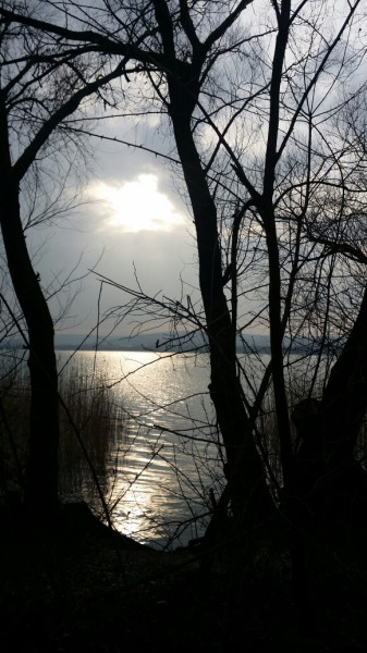 Balatonfűzfő