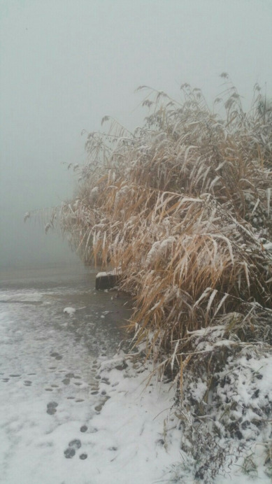 Balatonfűzfő