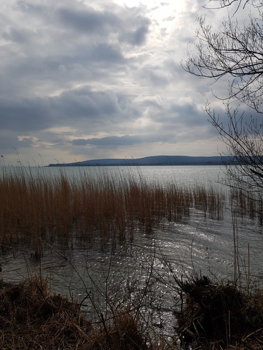 Balatonkenese