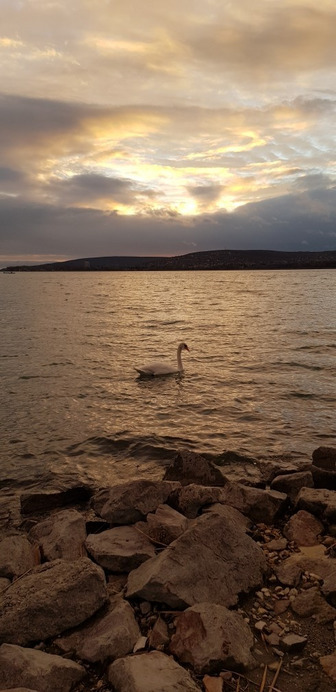 Balatonfűzfő