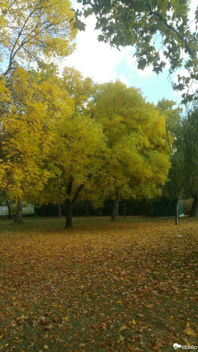 Balatonfűzfő