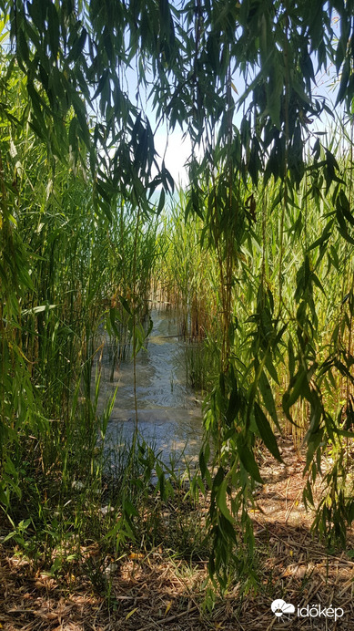 Balatonfűzfő
