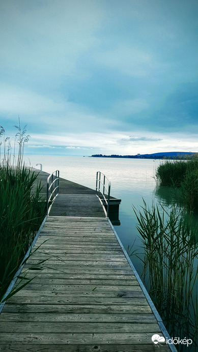 borongós