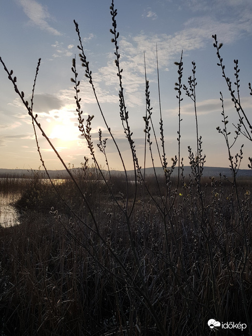 Balatonfűzfő