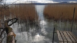 Balatonfűzfő