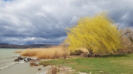 Balatonfűzfő