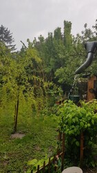 Balatonfűzfő