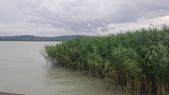 Balatonfűzfő