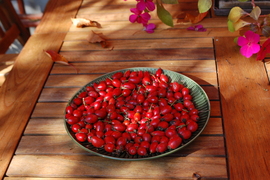 őszi színek a szürkeségben