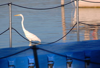 kora reggel a strandon 2