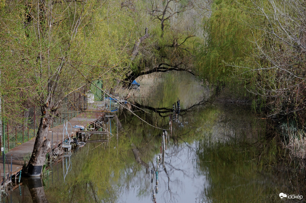 "tükör" kapu