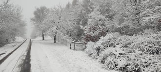 Karácsonyi hó a Zselicben.