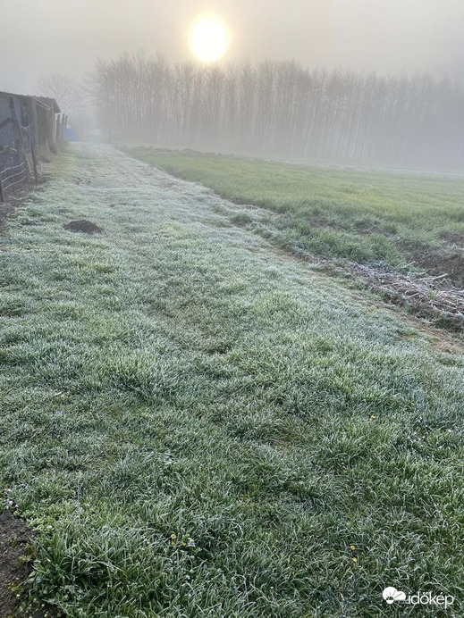 friss tavaszi reggel  murakeresztúr