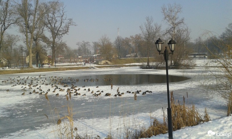 Nagykőrös