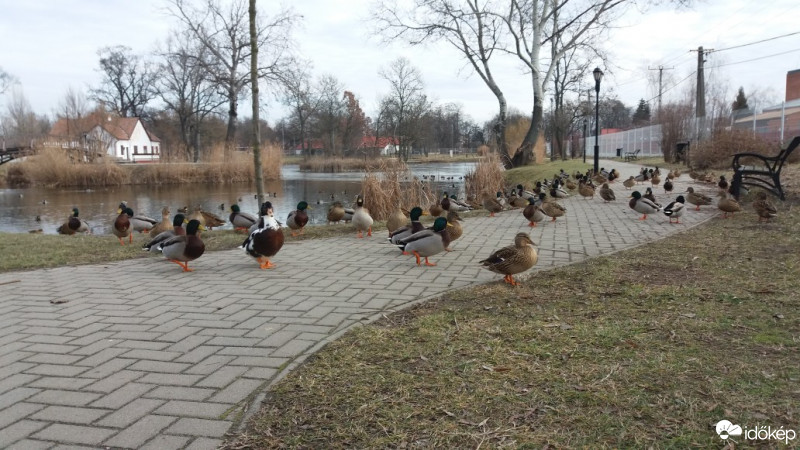Nagykőrös